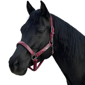 KENSINGTON Premium Nylon Breakaway Halter (KHSB)