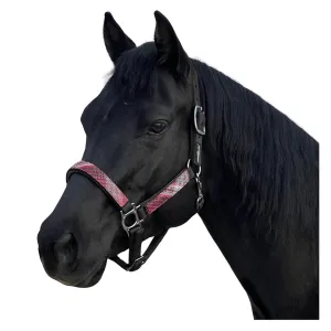 KENSINGTON Premium Nylon Breakaway Halter (KHSB)