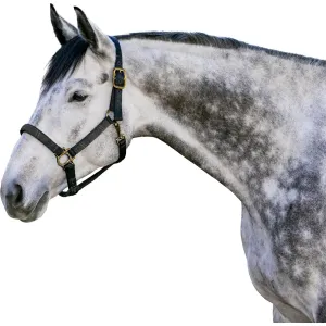 KENSINGTON PROTECTIVE PRODUCTS Premium Nylon Halter (KHS)