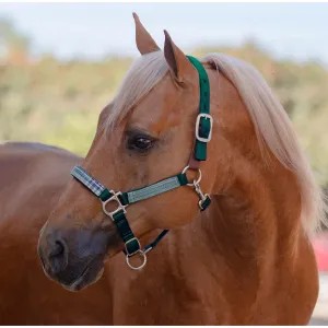 KENSINGTON Premium Nylon Breakaway Halter (KHSB)