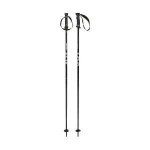 HEAD Women's Joy Ski Poles