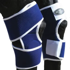 PROFESSIONAL'S CHOICE Magnetic Hock Boot (PCMHB-102)