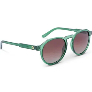 OPTIC NERVE Unisex RiNO Shiny Crystal Green Frame with Polarized Brown Lens Sunglasses (22772)