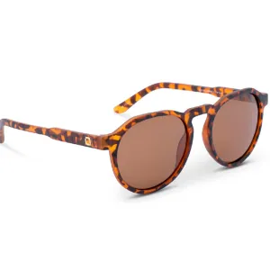 OPTIC NERVE Unisex RiNO Matte Crystal Tortoise with Polarized Brown Lens Lifestyle Sunglasses (22773)