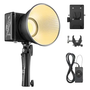 SIRUI C300XII 310W Portable LED Handheld Light (C300XII)