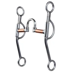 PROFESSIONAL'S CHOICE Loomis Correction Bit (PCB-1070)
