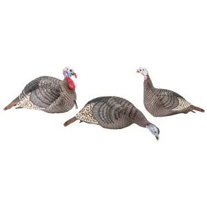 Hunter Specialties Strut-Lite The Flock Decoys
