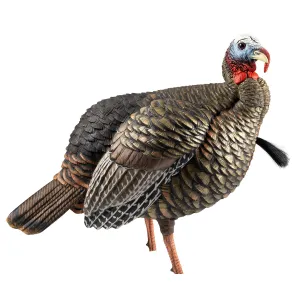 Avian X HDR Jake Turkey Decoy