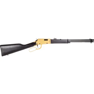 Rossi Firearms Rossi Rio Bravo Rifle 22 LR - 18" - Gold - Black Wood Stock