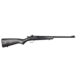 Keystone Sporting Arms Crickett Rifle 22 LR - 16.125" - Blued - Black Laminate Stock