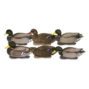 Avery GHG Pro-Grade XD Series Mallard Decoys 6 Pieces