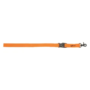 Avery ASD Trainer's Lead