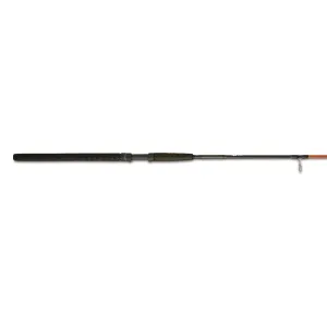 Ugly Stik(R) Carbon Catfish Spinning Rods