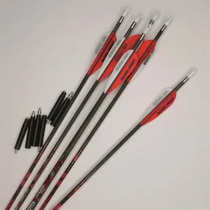 Demon Hunter Arrows - 6 Pack