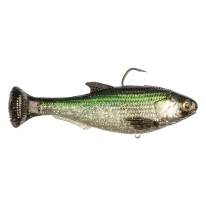 Z-Man Shadtron LT Swimbait