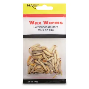 Magic Bait Preserved Wax Worms