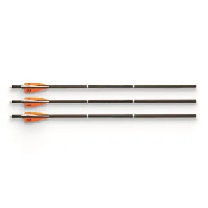 Guide Gear Trophy Hunter Bolt 20" 3 Pack