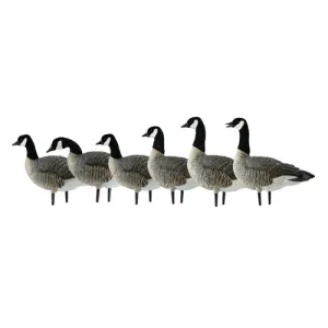 AVIAN-X AXP Lessers: Active Pack
