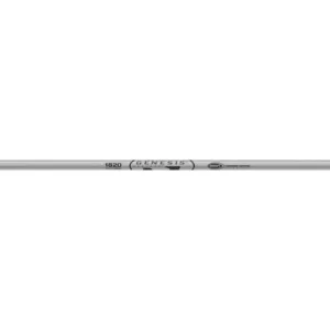 EASTON TECHNICAL Genesis Shafts 1820 Silver
