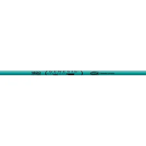 EASTON TECHNICAL Genesis Shafts 1820 Teal