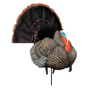HIGDON XS Tru-Strutter Turkey Tom Species XS Motion