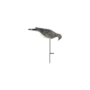 EDGE FOURPACK-O-FEEDERS