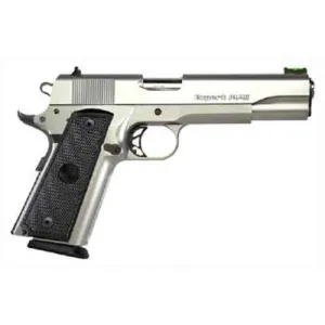 PARA ORDNANCE EXPERT 10.45 STAINLESS 45ACP 5