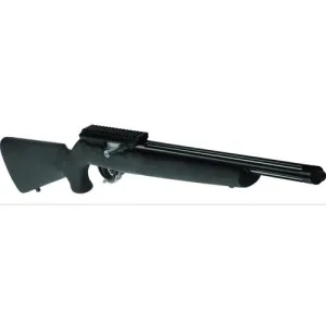 TACTICAL SOLUTIONS X-RING 10/22 RIFLE THREADED BB