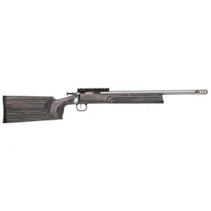 KEYSTONE Crickett XBR Black Lam Stock 22 LR Stainles Barrel