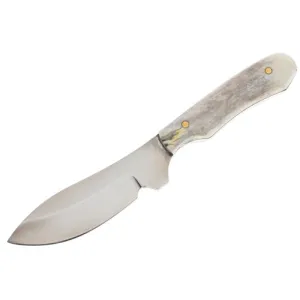 SILVER STAG Whitetail Caper 2.75" Fixed Blade Knife + Antler Handle