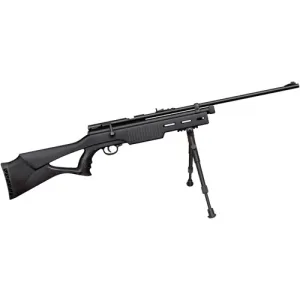 BEEMAN Beeman CO2 Air Rifle w/Synthetic Stock