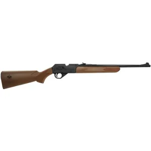 DAISY AIRGUNS 1910 Official Boy Scouts of America