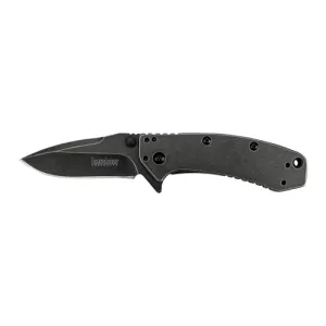 KERSHAW KNIVES Cryo 2.75" Blackwash, 410 Handle Assisted Open