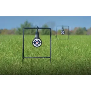 CROSMAN Dual Target Pack 2 Pk of Metal Spinning Targets