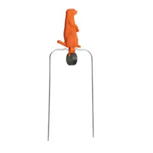 CHAMPION SINGLE VARMINT ORG 5.5"
