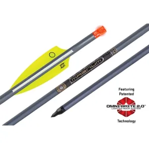 TENPOINT Omni-Brite 2.0 Lighted 2219 Alum Arrows 20" 451Gr