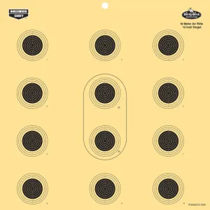 BIRCHWOOD CASEY Dirty Bird 12" 10 Meter Air Rifle - 12 targets