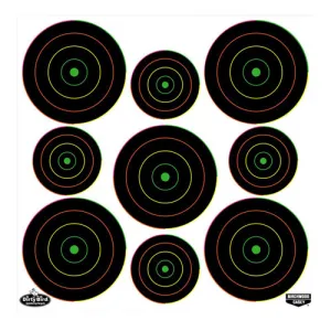 BIRCHWOOD CASEY Dirty Bird 2", 3" Multi-Color Bull's-eye -20pk