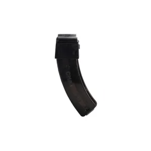 CHAMPION BLACK 10/22 MAG 30RD