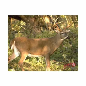 DURAMESH WHITETAIL #3 TARGET