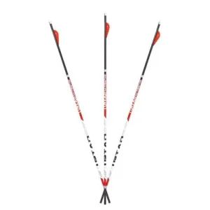 CARBON EXPRESS Maxima Triad XSD 300 6pk Arrows