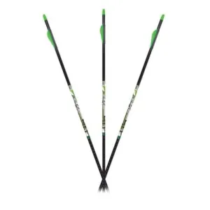 CARBON EXPRESS D-Stroyer Piledriver 400 6pk Arrows