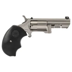 NAA Recluse SW 22WMR 2" SS 5rd