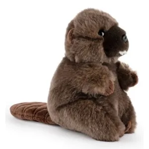NATURE PLANET CCR S Beaver 11"