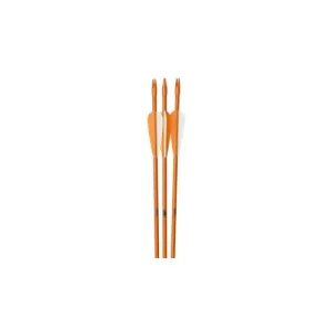 OCTOBER MOUNTAIN Fiberglass 26" Youth Arrow (3 pack - Orange)