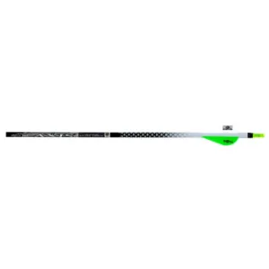 EASTON TECHNICAL Axis Arrow w/ 2 Blazer Vanes 300 Spine