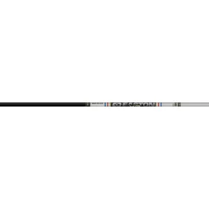 EASTON TECHNICAL X23 Shafts 2318 Black/Silver 12 Dozen