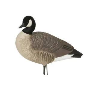BANDED HS Canada Goose Decoys - Harvesters 6 Pack