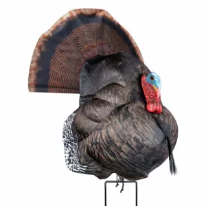 PRIMOS Photoform Strutter