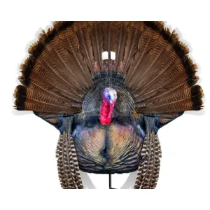 MONTANA DECOY Wiley Tom Turkey Decoy